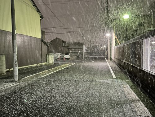 名古屋雪